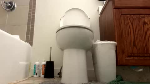 tRex online show from January 19, 1:26 am