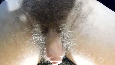 mr taco online show from April 8, 7:39 pm