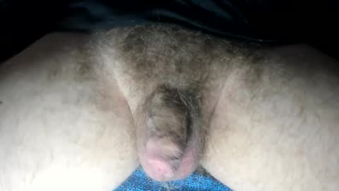 Snapshot of tacosize chatting on February 13, 3:35 pm mr taco online show from February 13, 3:35 pm