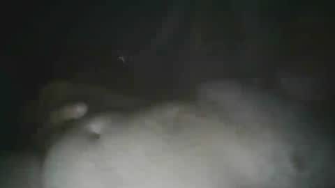 tallicas2000 online show from July 16, 1:42 am