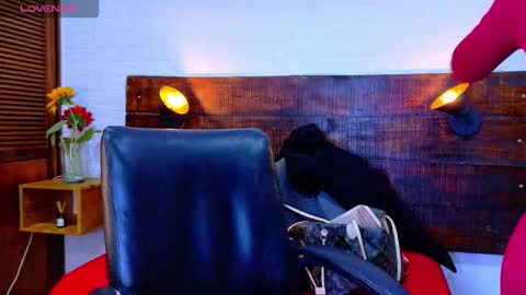    online show from December 19, 12:00 pm