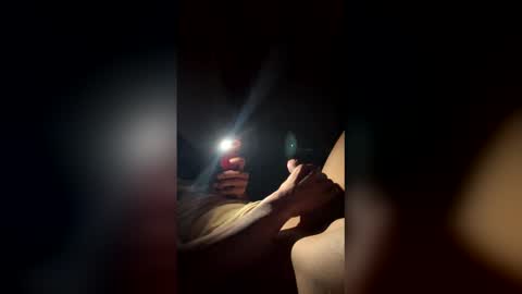 tasmanwawatai27 online show from December 3, 11:11 am