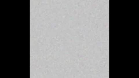 Taste online show from February 24, 10:15 am