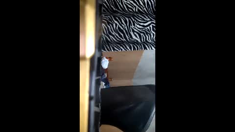 tecnicogatu online show from February 21, 6:38 am