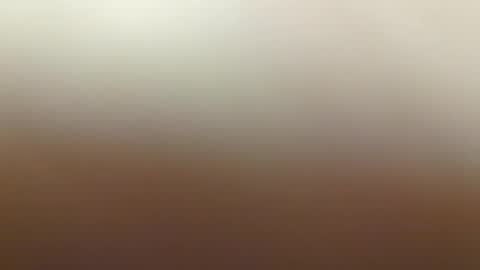 tedy online show from February 4, 8:24 pm