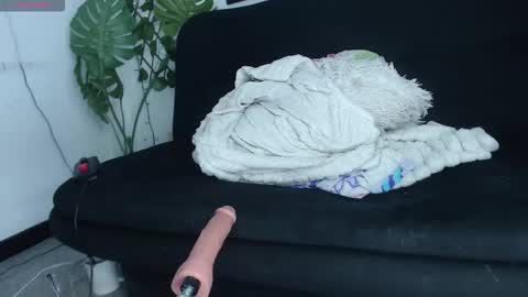 tefy_bratz online show from September 11, 6:58 am