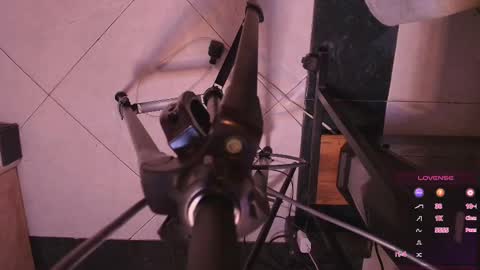 Terra Elowen online show from November 4, 11:22 am