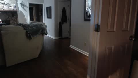 Brooklyn online show from January 8, 7:55 am