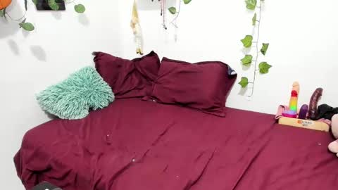 Ariamapola88 online show from January 30, 7:18 am