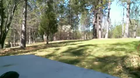 Daisy and Tim online show from March 19, 6:13 pm