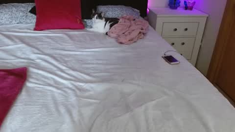 im on randomly so follow to know when im online online show from February 25, 6:12 pm