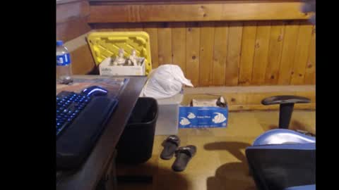 Snapshot of therealbigcheese0695 chatting on October 29, 8:20 pm therealbigcheese0695 online show from October 29, 8:20 pm