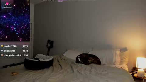 Selina Kyle online show from January 24, 8:13 am