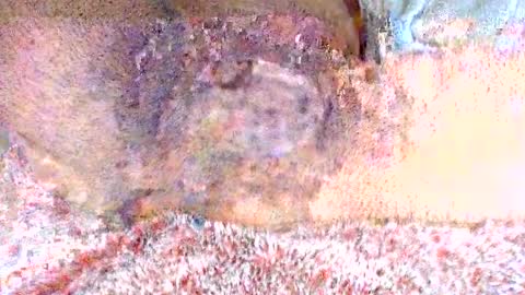 thetightestass14 online show from February 20, 8:36 pm