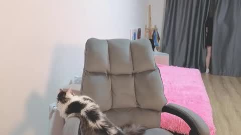 theysaidimcute online show from January 17, 11:13 pm