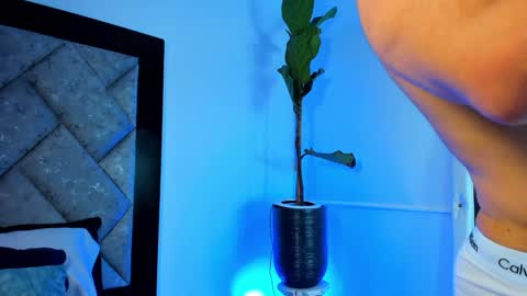 thiago online show from December 29, 4:27 am