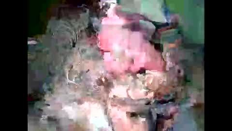 throbster513 online show from February 18, 1:55 pm