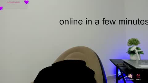 carolina online show from August 2, 10:06 am