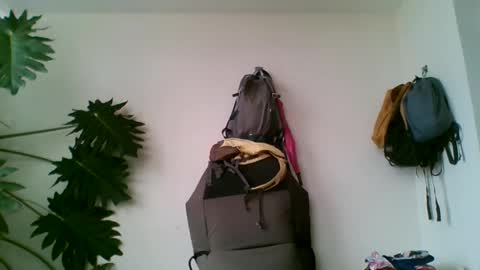 Snapshot of tiaretiareopui chatting on October 31, 11:21 am tiaretiareopui online show from October 31, 11:21 am