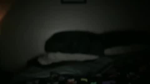 tinaturningtrix online show from March 9, 4:28 am