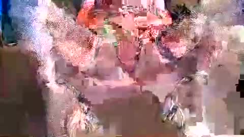 tinnavogler online show from April 14, 5:00 am