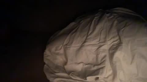 Tinysoftboi online show from March 28, 4:36 am