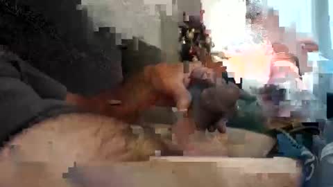 Snapshot of tlcdad chatting on December 12, 11:28 am tlcdad online show from December 12, 11:28 am