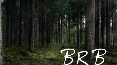 Tim online show from October 27, 8:20 pm