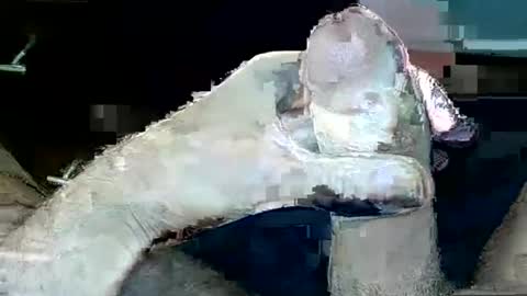 tom4you4all online show from November 26, 6:04 pm