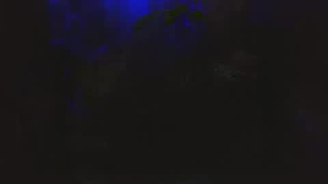 tommyohgeez online show from September 12, 10:17 am