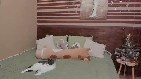 Milana online show from January 19, 5:28 am