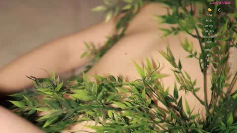 Toshi online show from November 3, 1:01 pm