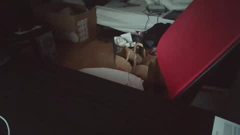 Totox online show from November 27, 5:37 am