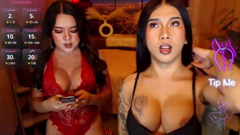transpornidol online show from July 27, 10:23 am