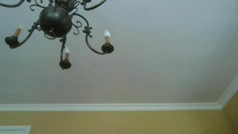 trekbeestje online show from April 18, 11:45 am