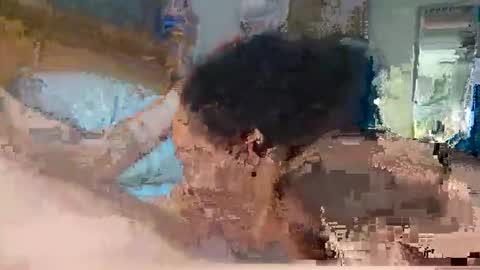 trex23rd online show from March 6, 11:42 am