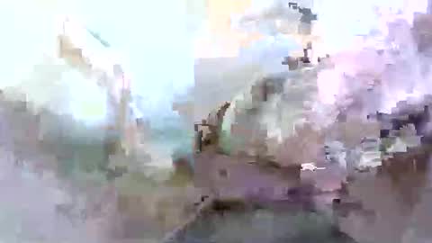 troy1965 online show from April 12, 5:55 am