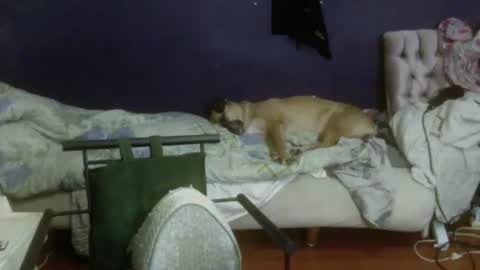 turkishtranswithsurgery online show from March 26, 11:32 pm