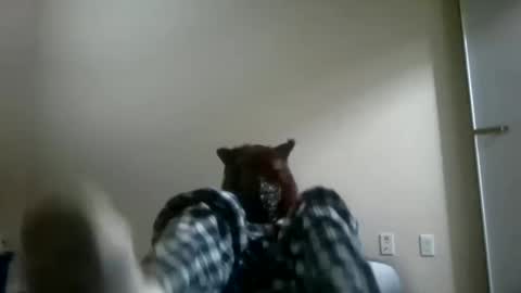 twinkyteddy online show from October 10, 2:06 am