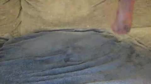 TylerC online show from November 17, 9:50 pm