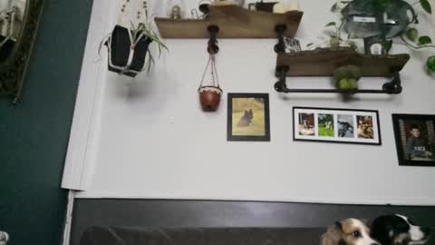 MYMY online show from February 8, 3:43 am