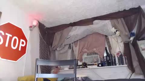 Maxi Mills . My Orgasm is in your hands Private is Open online show from June 2, 3:47 pm