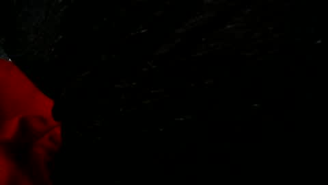 valididohio online show from June 29, 7:46 pm