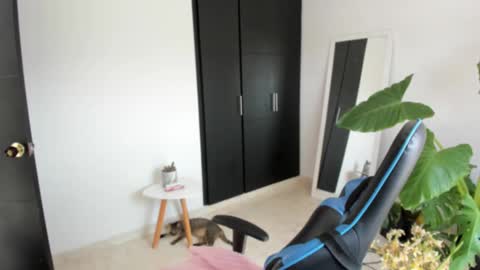 Babi Alu online show from September 24, 6:25 pm