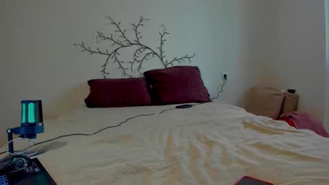 Vell online show from December 22, 7:37 am