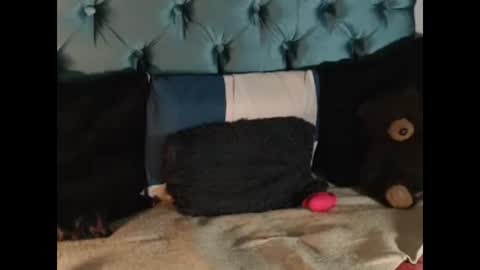 Andrea online show from October 27, 9:26 pm