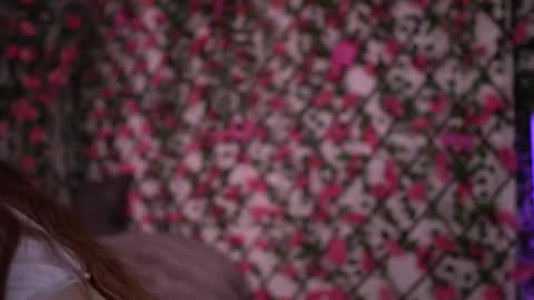 Polly online show from December 3, 6:08 pm