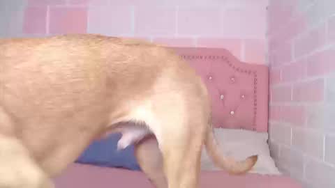 emily independent account  MY conextion 1100 GTM  to  17hr GTM online show from February 27, 9:29 pm