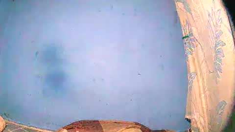 vernelaa online show from September 30, 2:27 pm