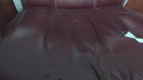 Erik online show from December 4, 10:48 am